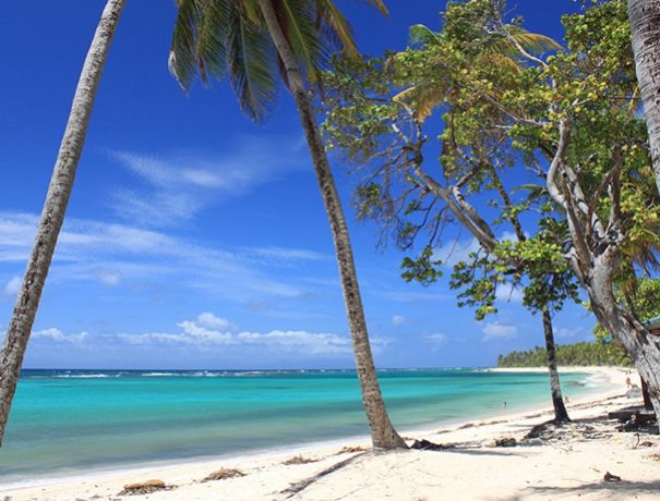 Séjour à Marie Galante