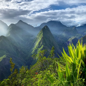 Séjour à la Réunion