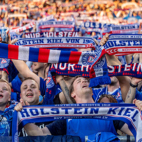 Match Borussia Dortmund-Darmstadt