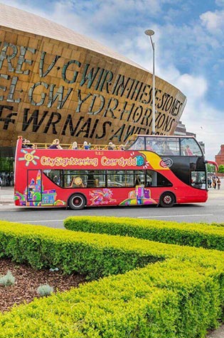 Visite de la ville en bus : +25€