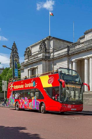 Visite de la ville en bus : +25€