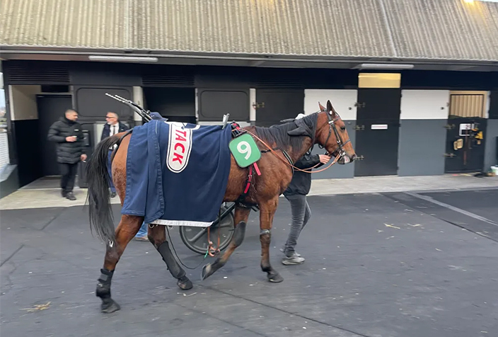 hippodrome_vincennes_ecurie_exterieur