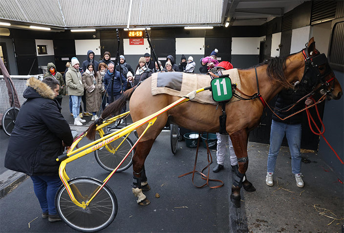 hippodrome_vincennes_ecurie_interieur