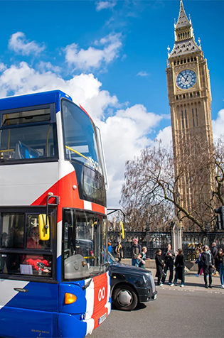 Visite de la ville en bus touristique : +45€