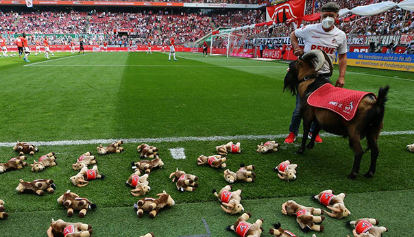 Stade de Cologne