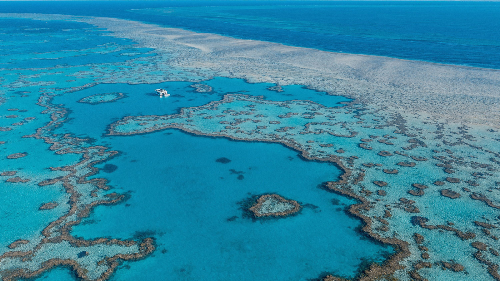 Grande Barrière de Corail